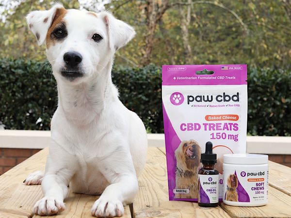 Looking for Pet CBD Solutions? Bundle Up!